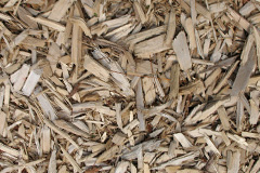 biomass boilers Maud